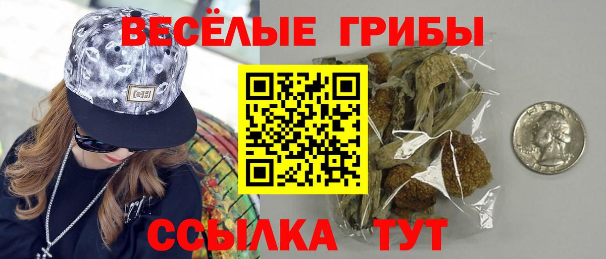 Галлюциногенные грибы Psilocybe Туапсе
